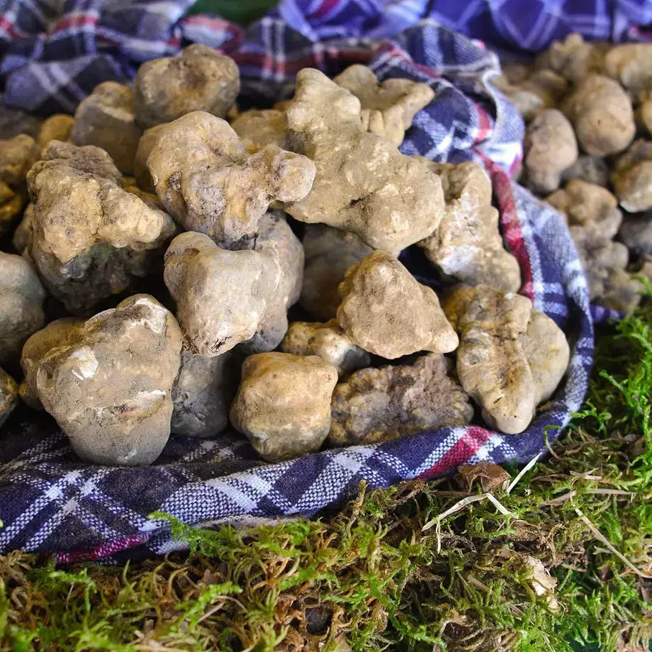 White Truffles