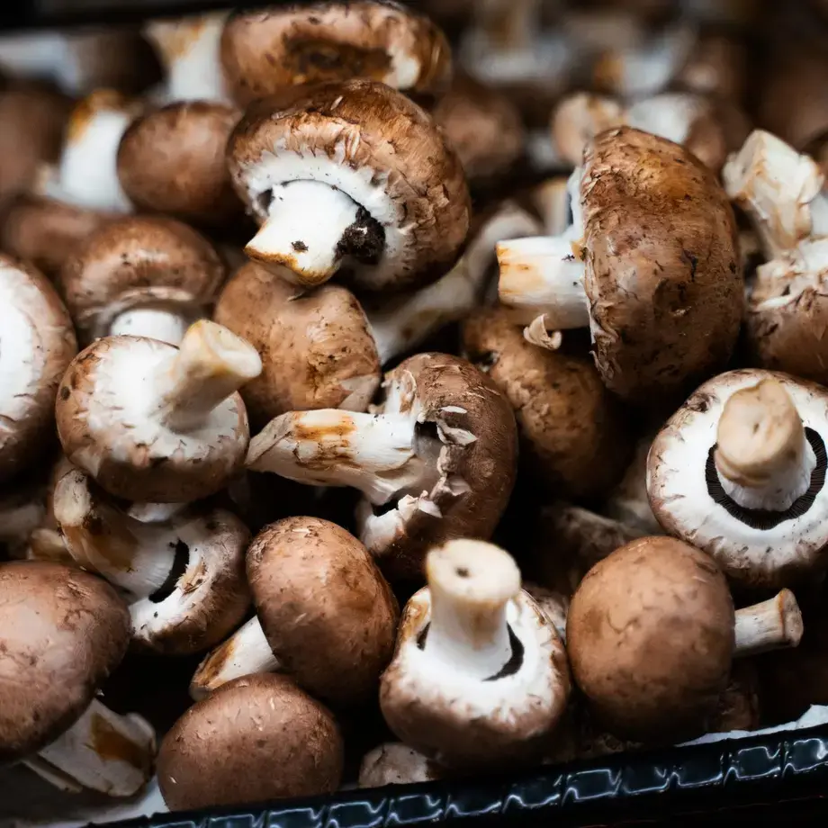 baby-bella-mushrooms