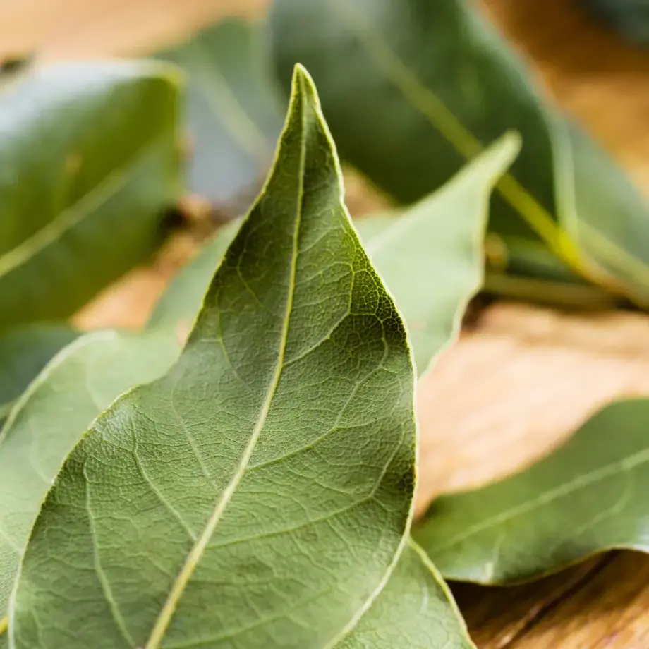 bay-leaves