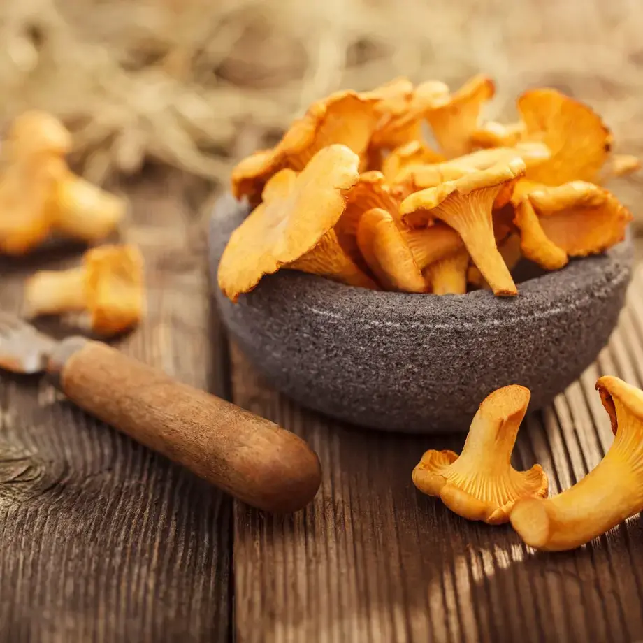 chanterelle-mushrooms