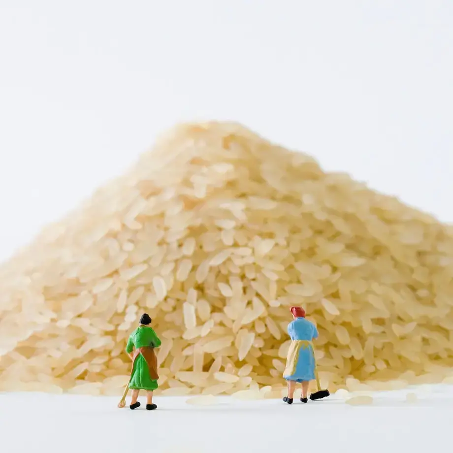 Different types of rice