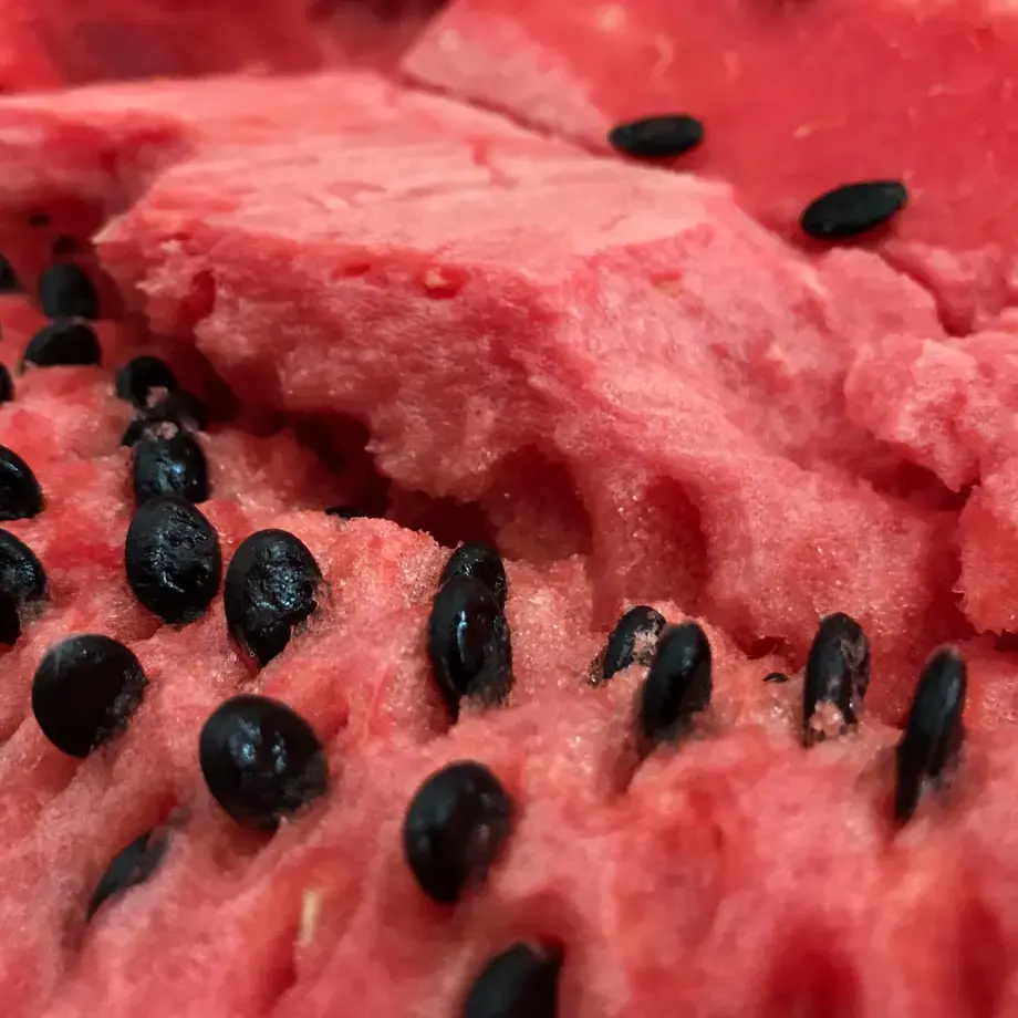 watermelon-seeds