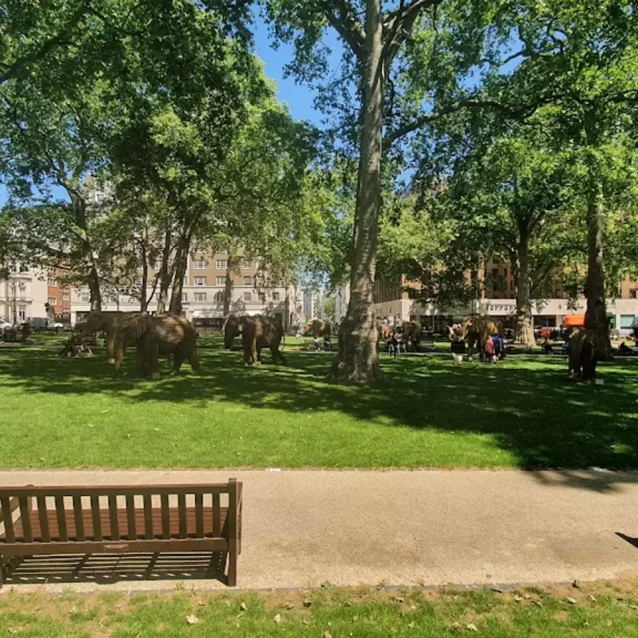 Berkeley Square