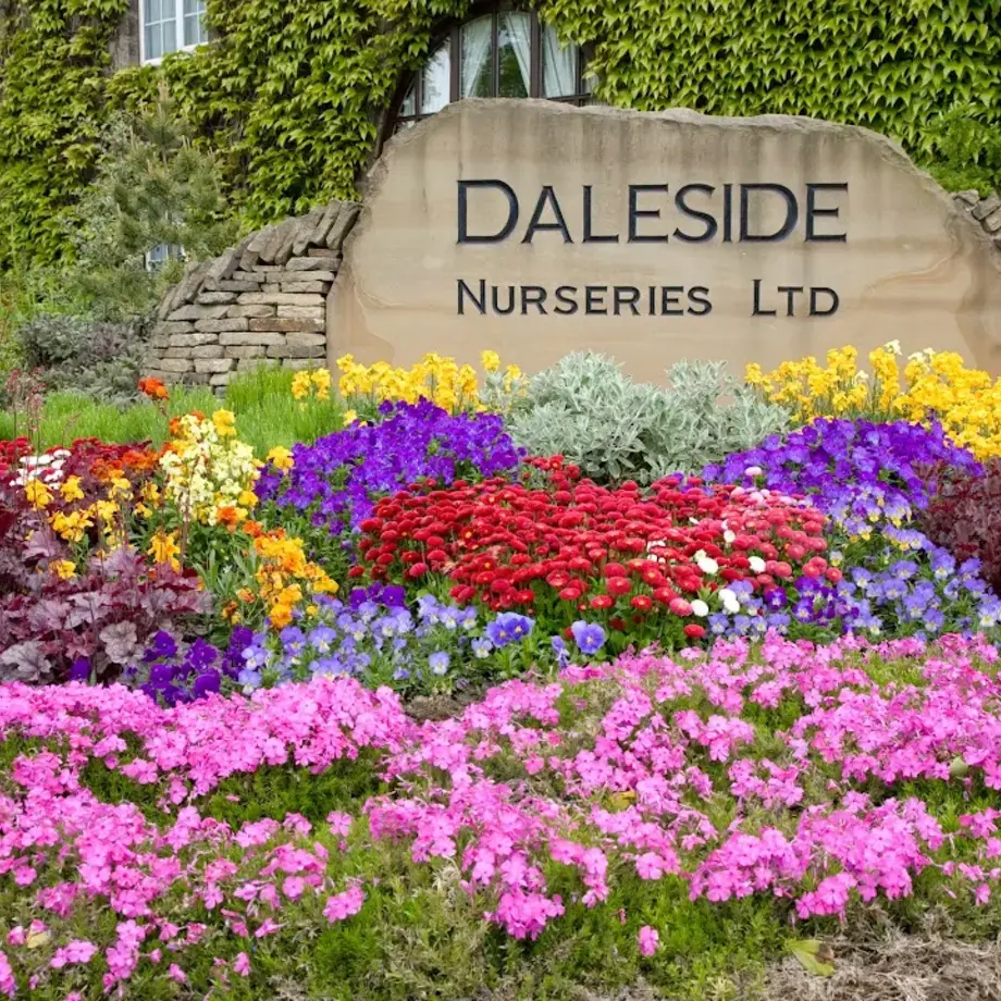 Daleside Nurseries Ltd