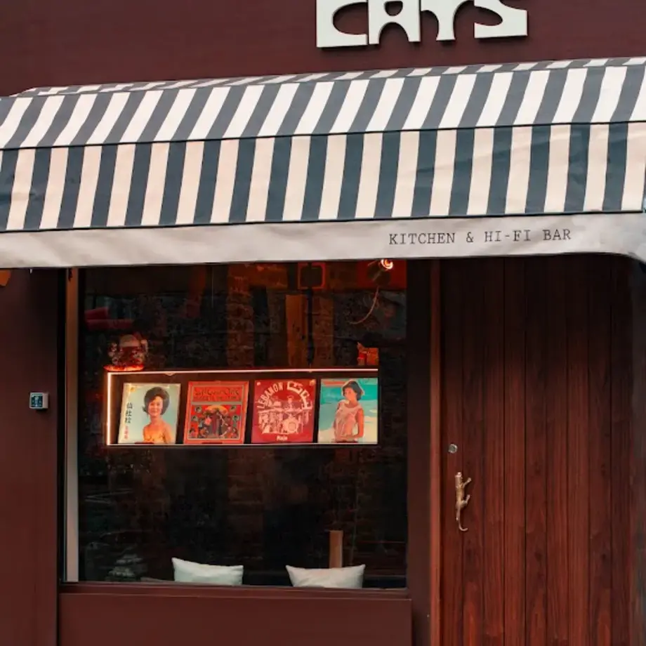 Mad Cats Mad Cats