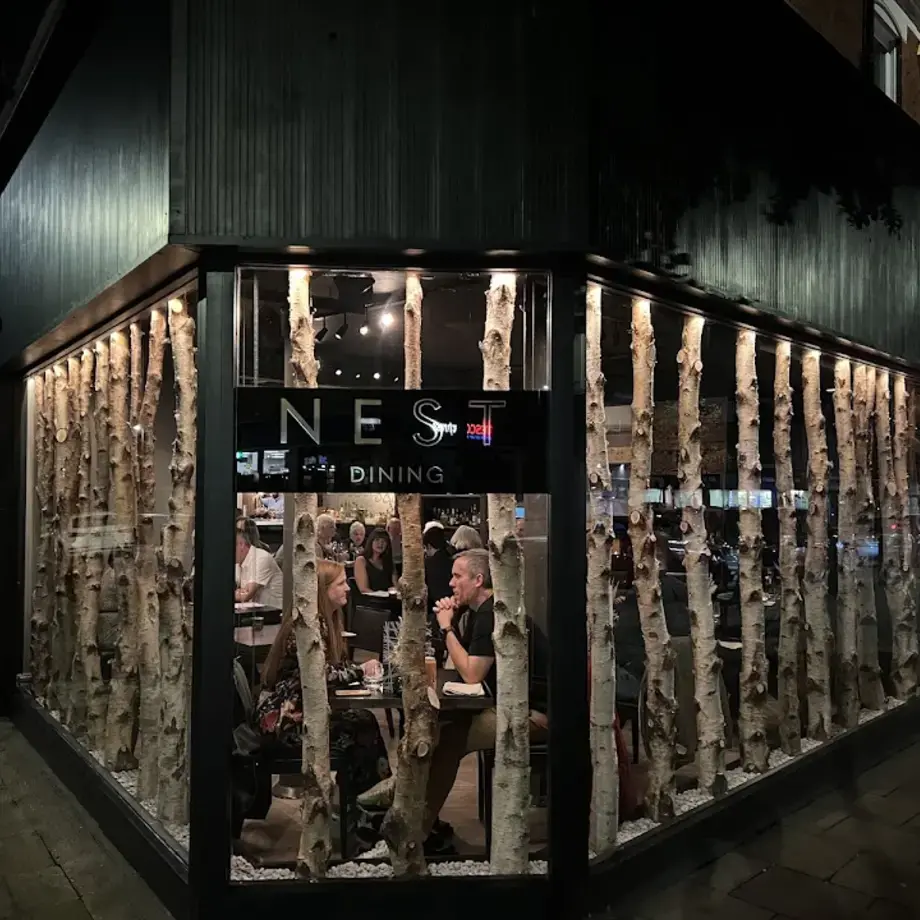 Nest Newcastle Nest Newcastle