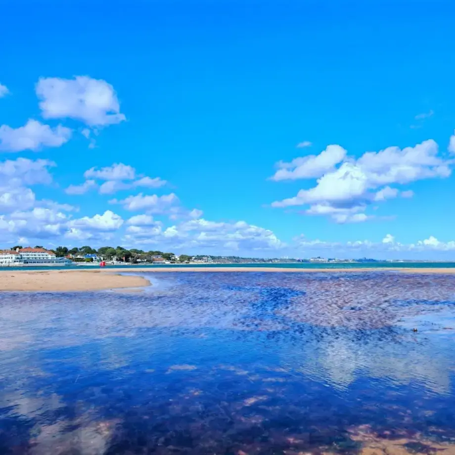 Shell Bay Beach studland Shell Bay Beach studland