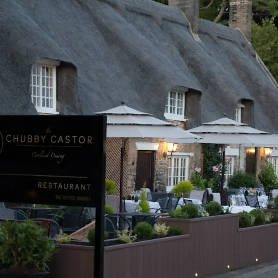 The Chubby Castor of the Fitzwilliam Arms The Chubby Castor of the Fitzwilliam Arms