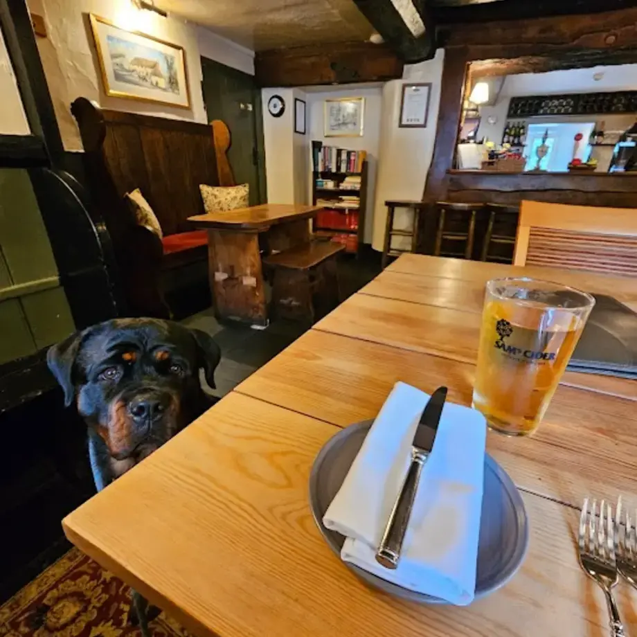 The Masons Arms, Knowstone The Masons Arms, Knowstone