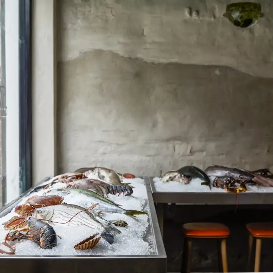 The Sea, The Sea The Sea, The Sea