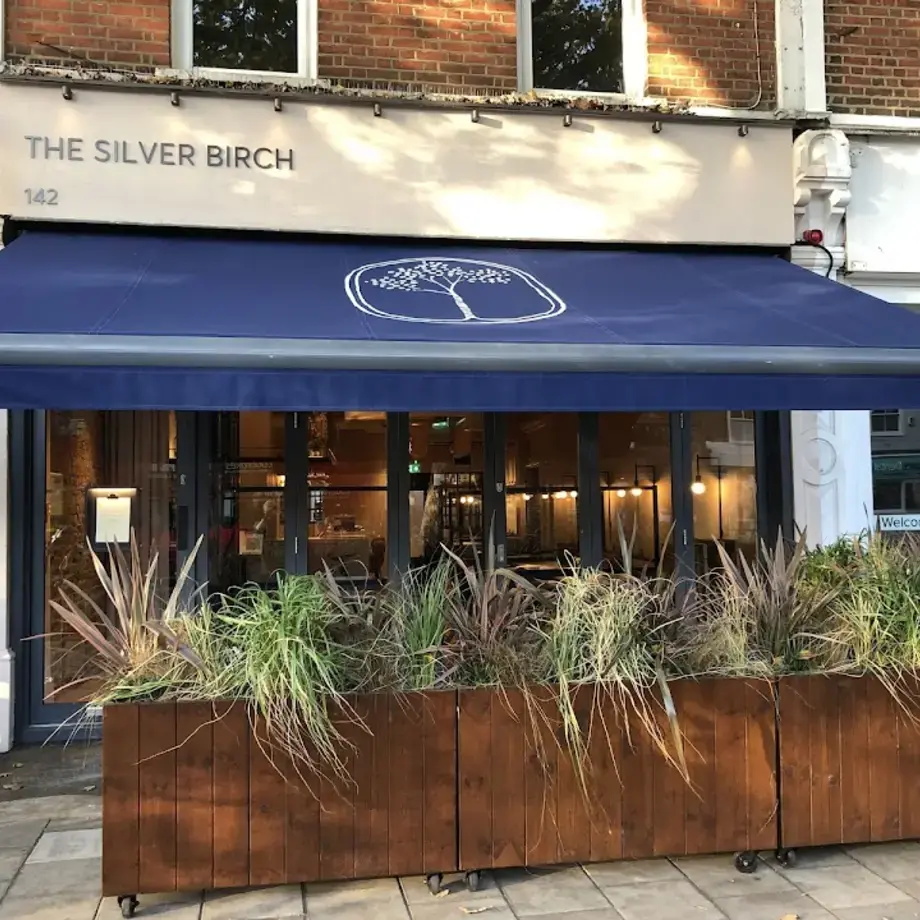 The Silver Birch
