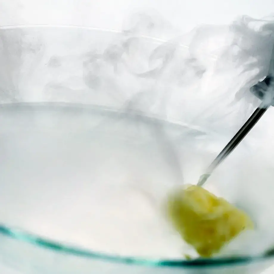 elBulli Martini Cocktail