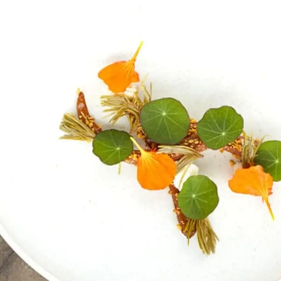 Carrot, Sour Curd, Pickled Pine