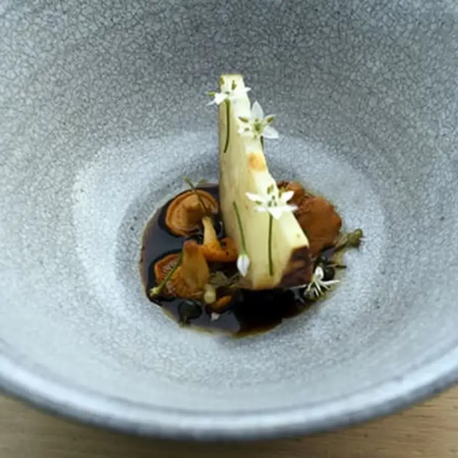 Celeriac, Chanterelle, Onion