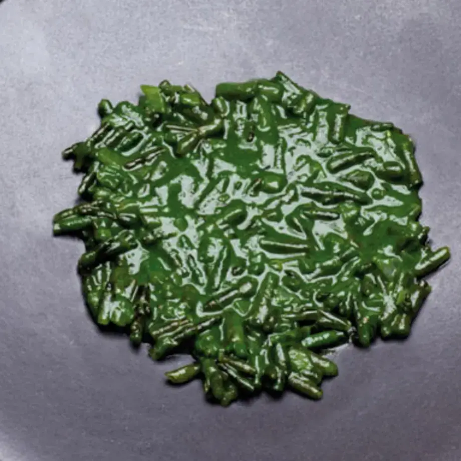 Salicornia Risotto