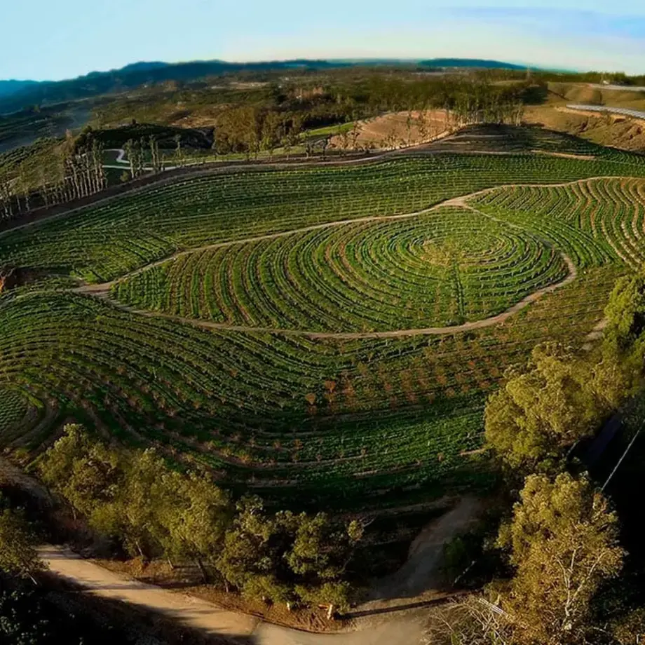 The biggest little farm