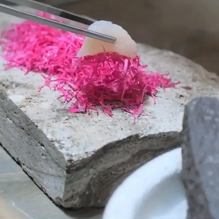 One of the plating at Central restaurant in Lima