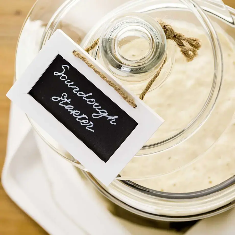 Sourdough starter