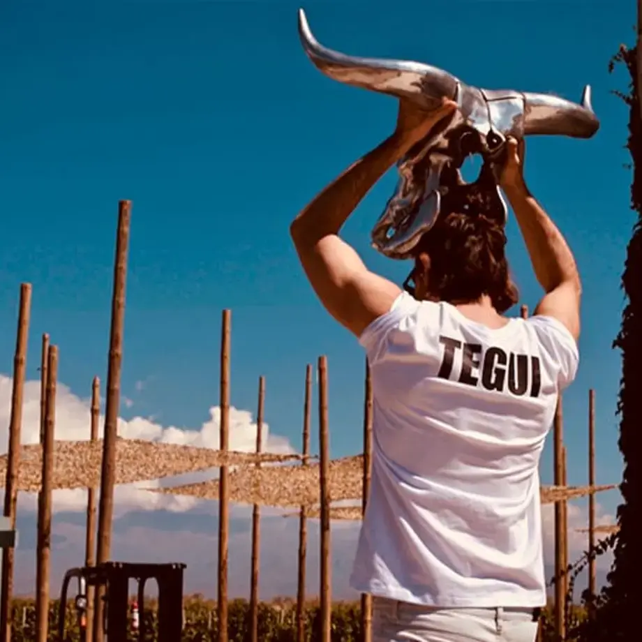 Alfred Oliveri, Argentina