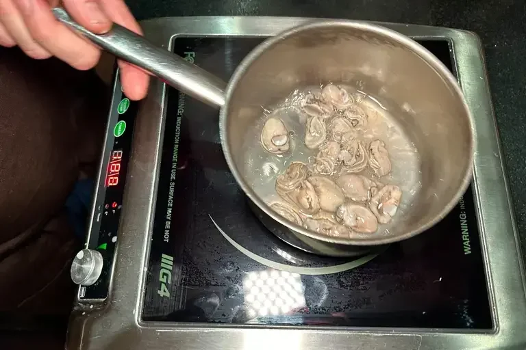 Simmering oysters