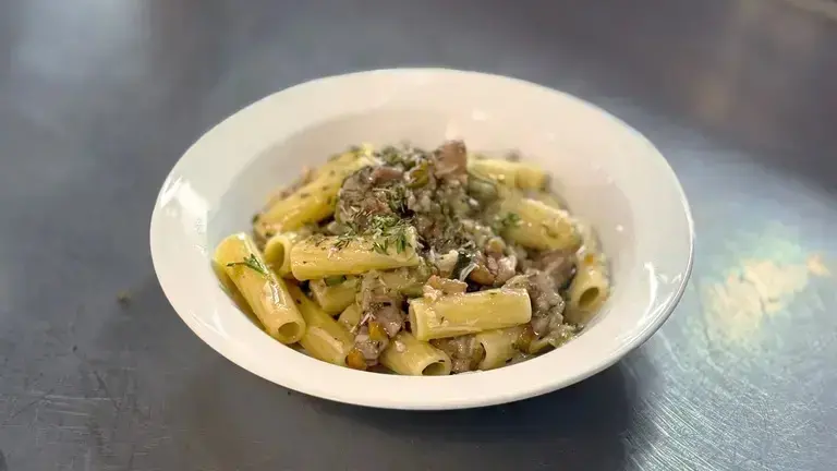 Tortiglioni with farmyard ragù plated