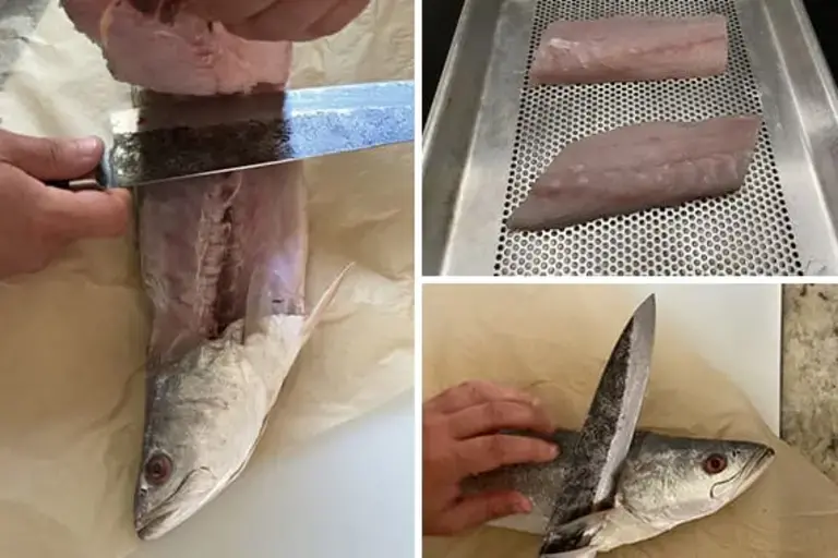 Filleting the Trout Courtesy of Chef Jeremy Stephens