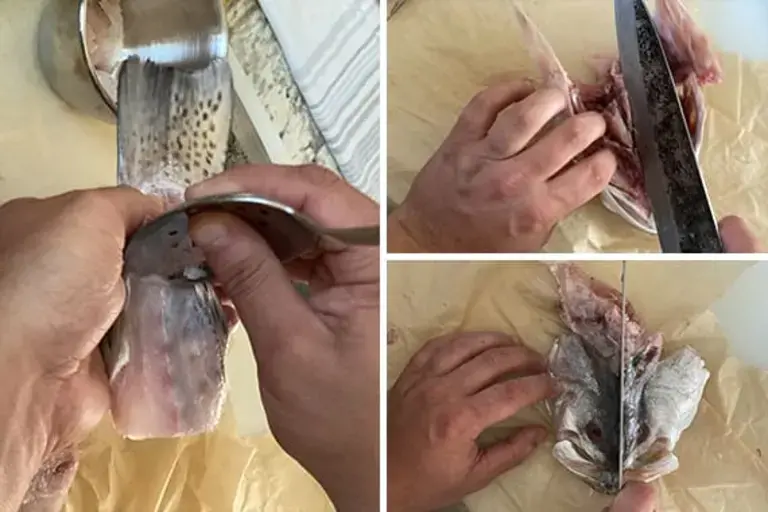 Trim the fillet Courtesy of Chef Jeremy Stephens