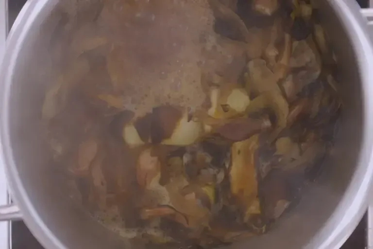 Reduce broth by half