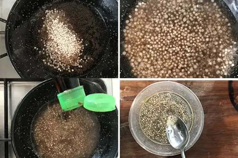 Pearl Fish Sauce