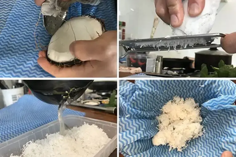 coconut