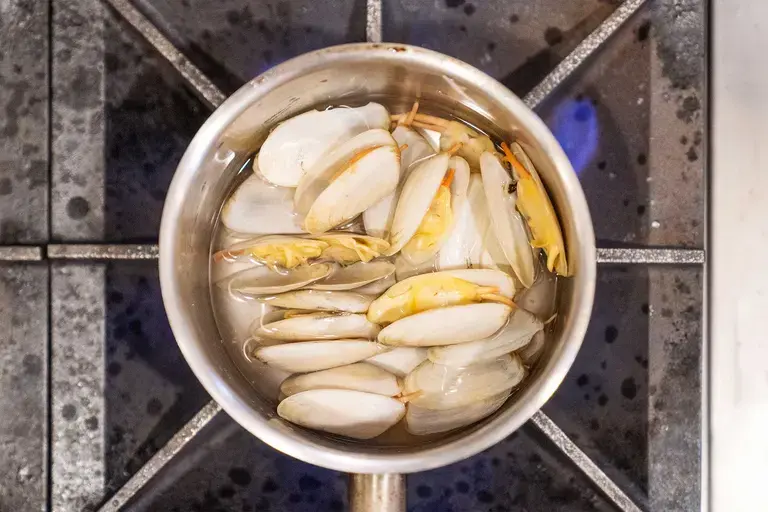open clams