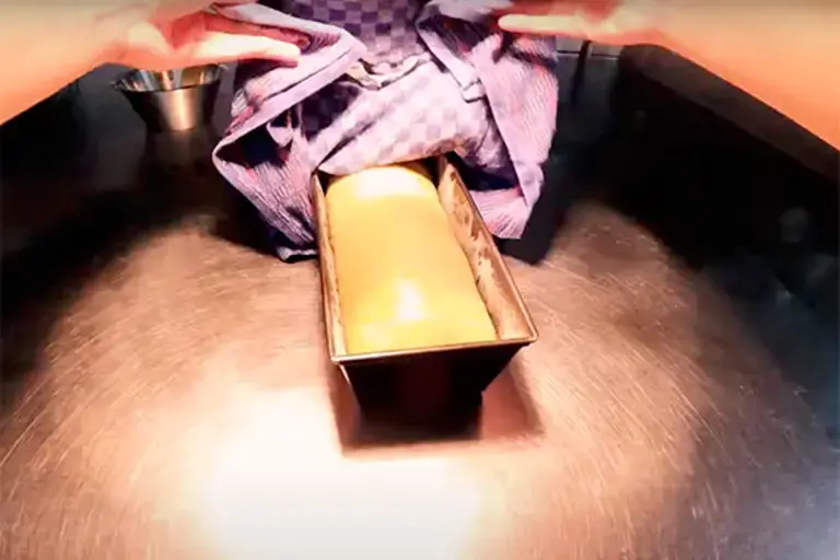 Step 10