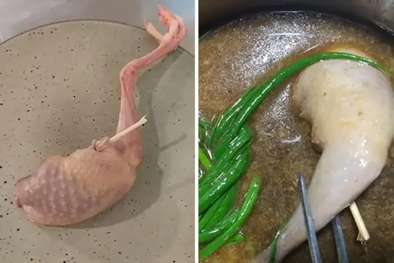 pigeon for ten years soup