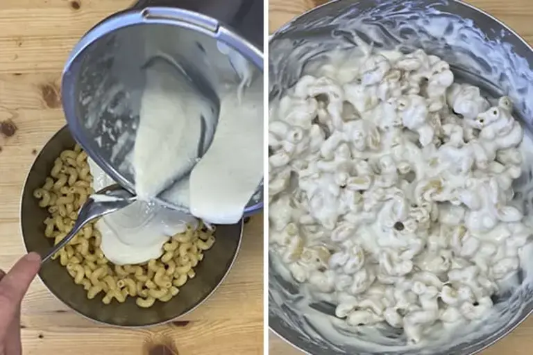 pasta mixed cheese