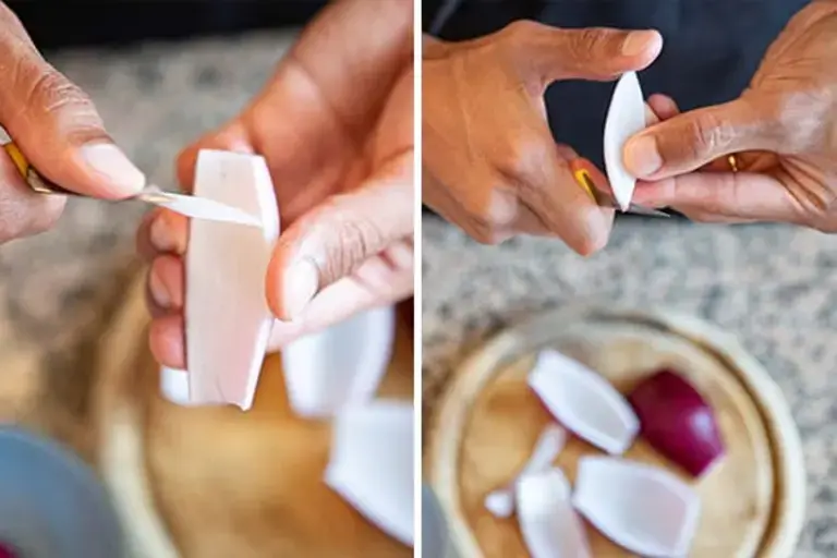 pickeled onions Courtesy of Nicole Bozzao 