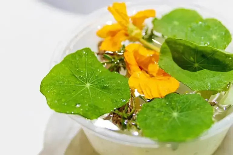 Citrus salad Courtesy of Chef Kezia Kristel