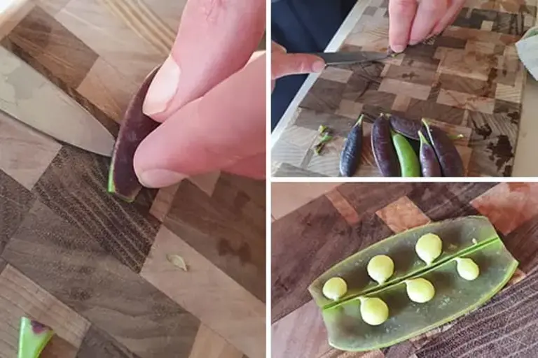peas Courtesy of Chef Marcus Gericke