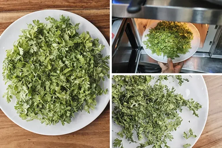 Cilantro powder