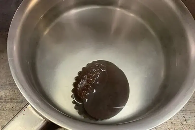Courtesy of Chef Ho Lam Shek