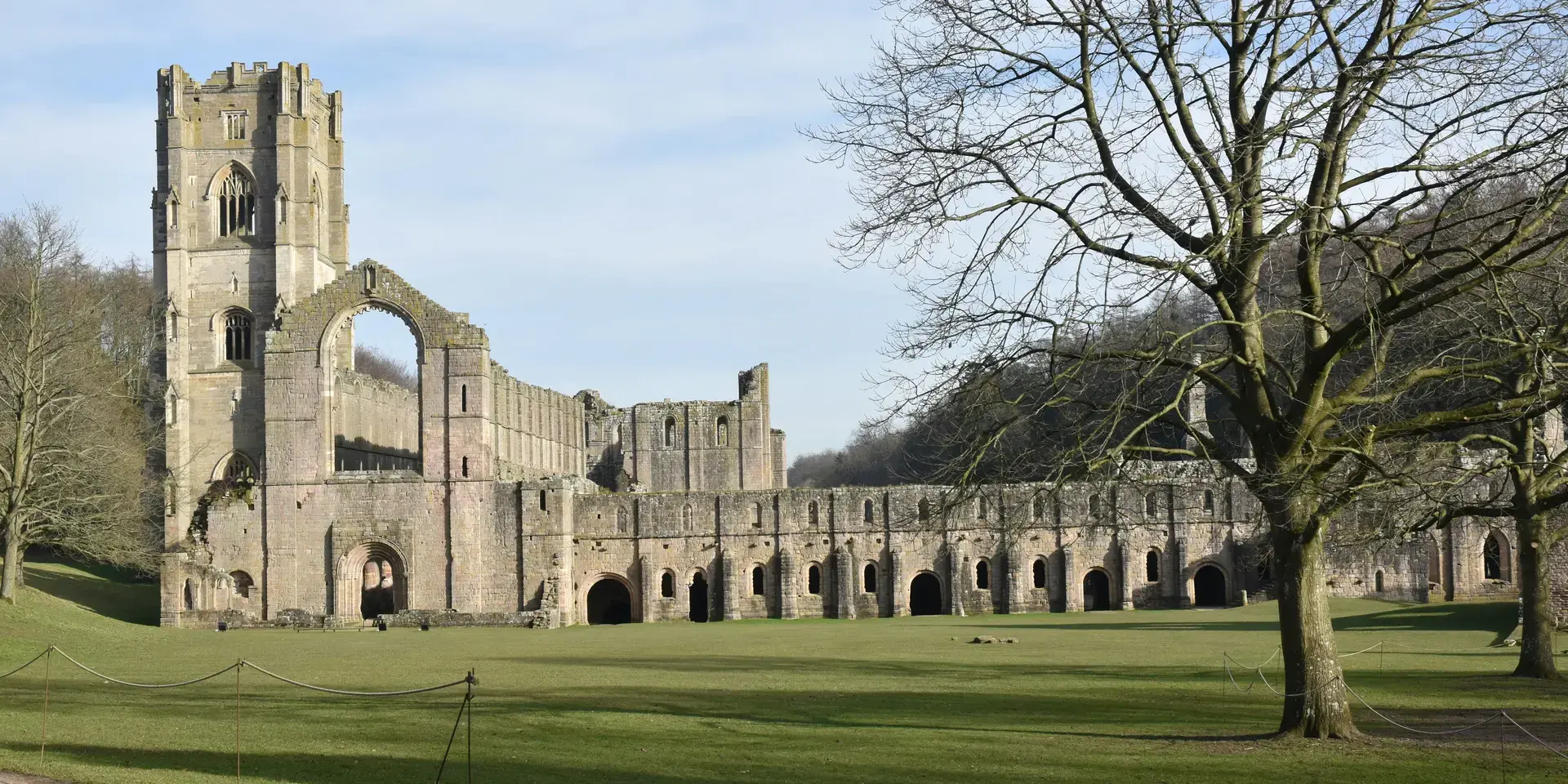 Ruins of a medieval abbey tower over a vast green lawn, framed by leafless trees under a clear sky