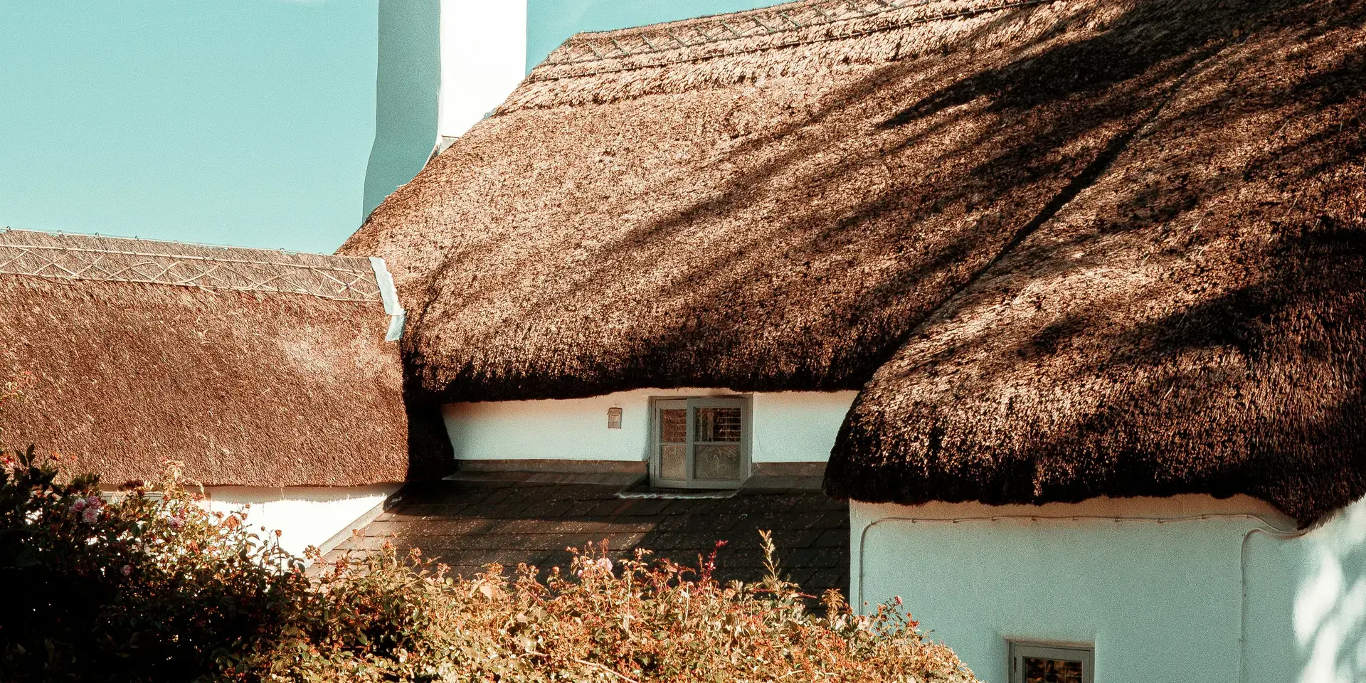 Charming white cottage with a thatched roof, stone wall, and lush greenery under a bright blue sky