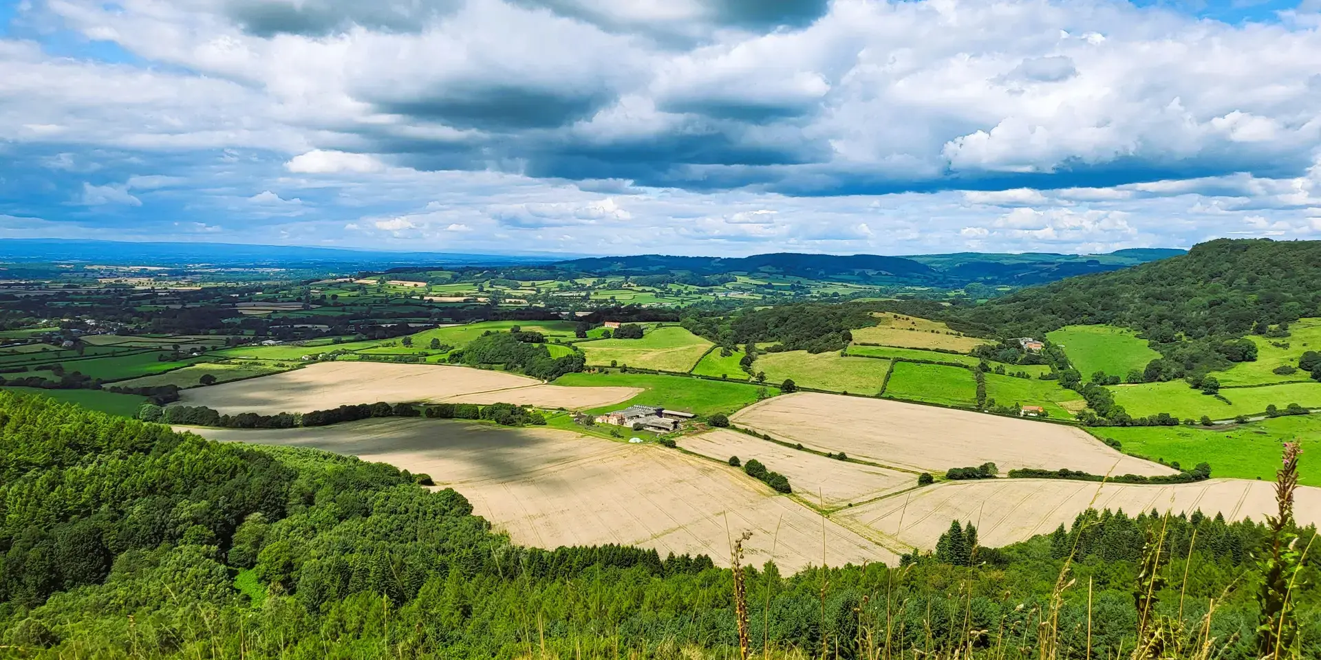 Scenic countryside view with patchwork fields, rolling hills, and lush forests under a vibrant sky with scattered clouds