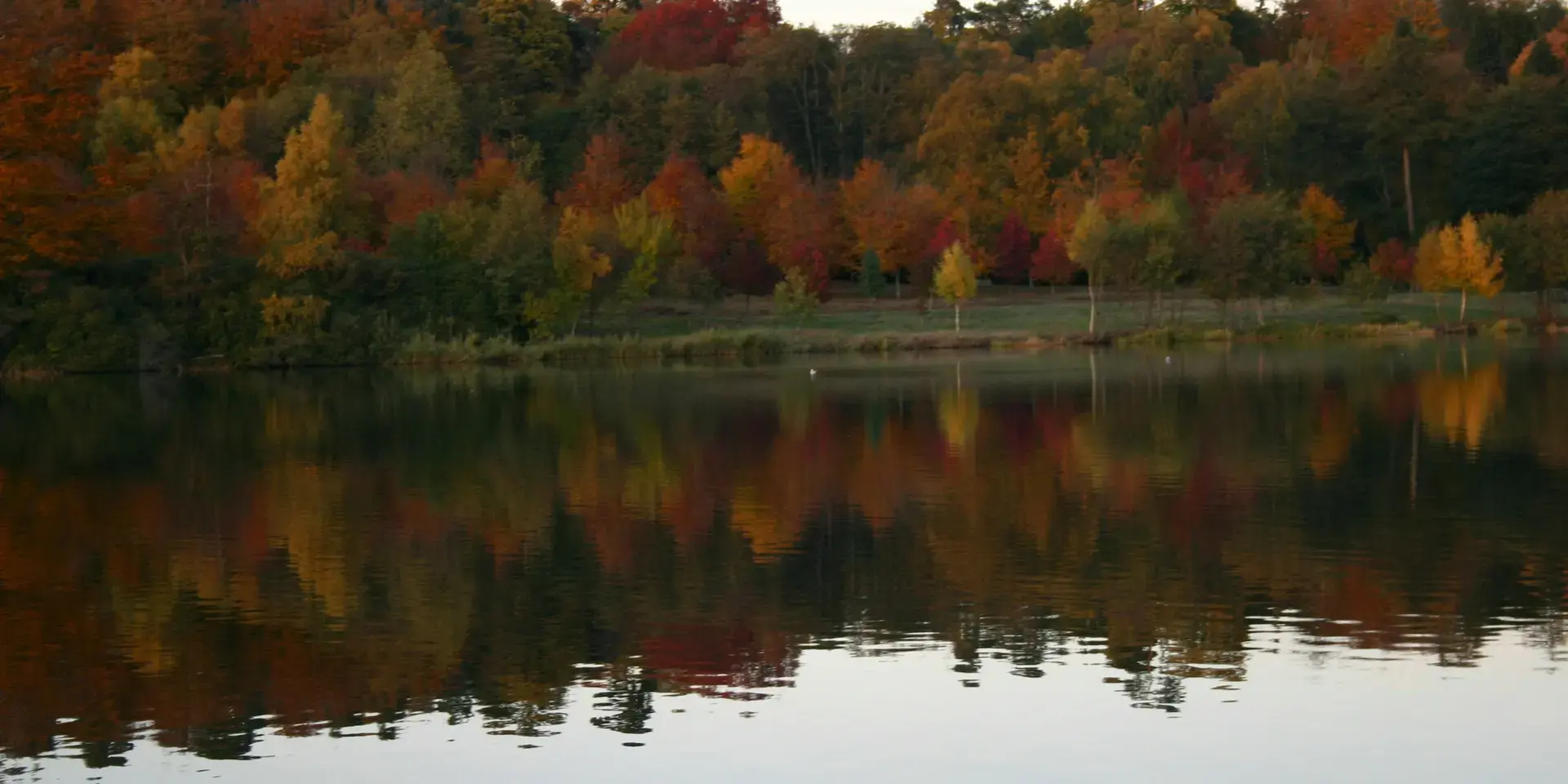 Autumn trees reflecting on a calm lake, showcasing vibrant red, orange, and yellow hues under a clear sky.