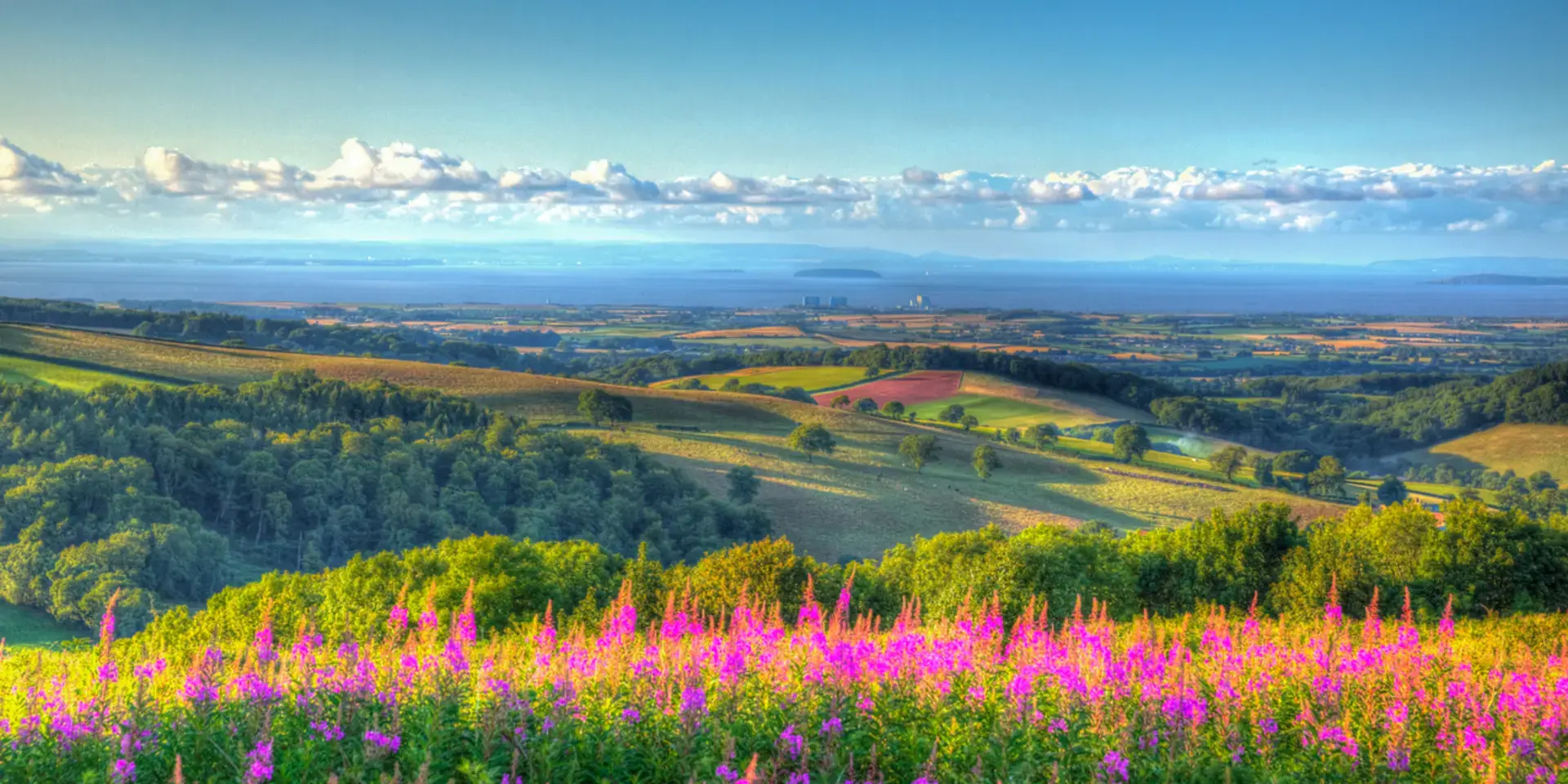 Vibrant wildflowers overlooking rolling green fields, with distant hills and the sea under a bright sky