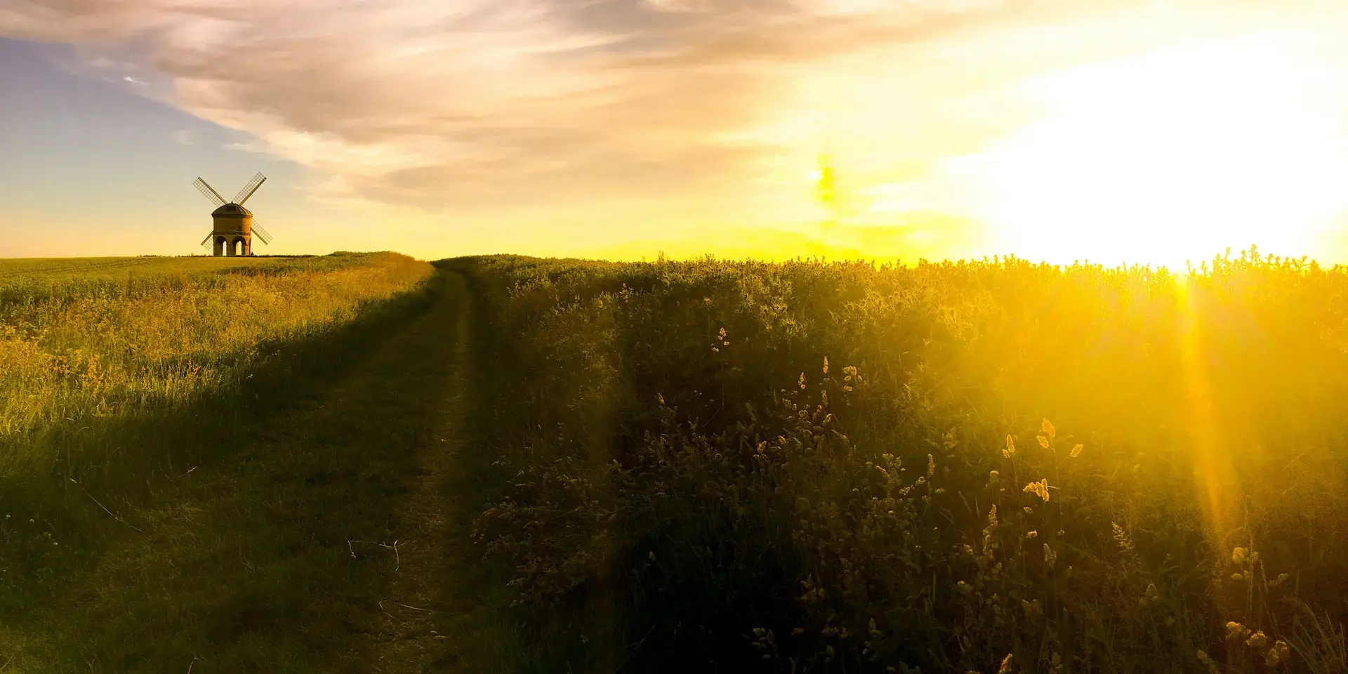 A golden sunset bathes a rural path and fields in warm light, leading to a historic windmill under a glowing sky