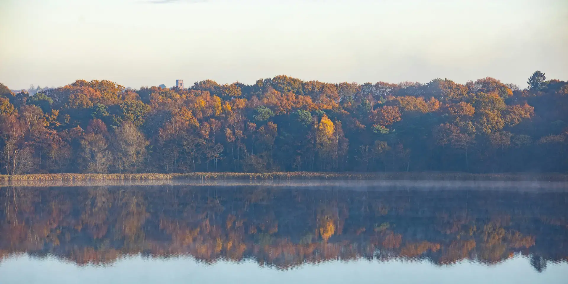 A serene autumn forest reflected in a still lake, showcasing vibrant orange, yellow, and green hues under a soft morning sky.