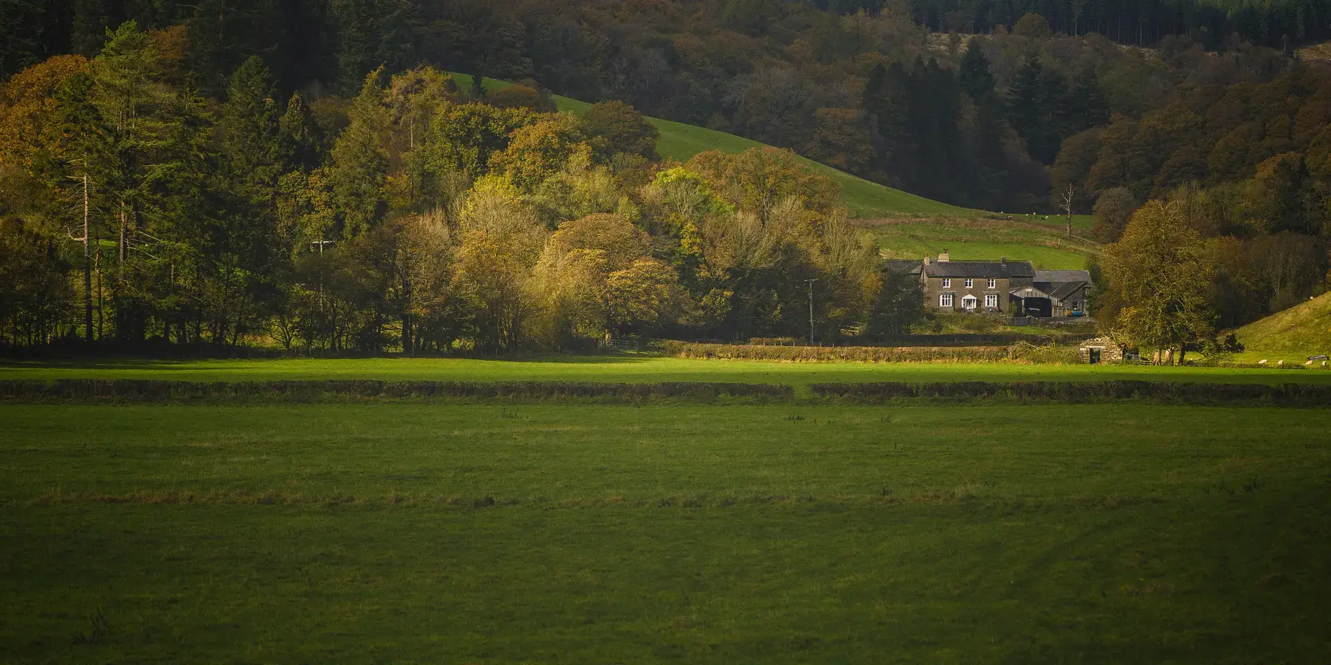 Sunlit countryside landscape with a rustic house surrounded by autumn trees and green rolling hills under cloudy skies.