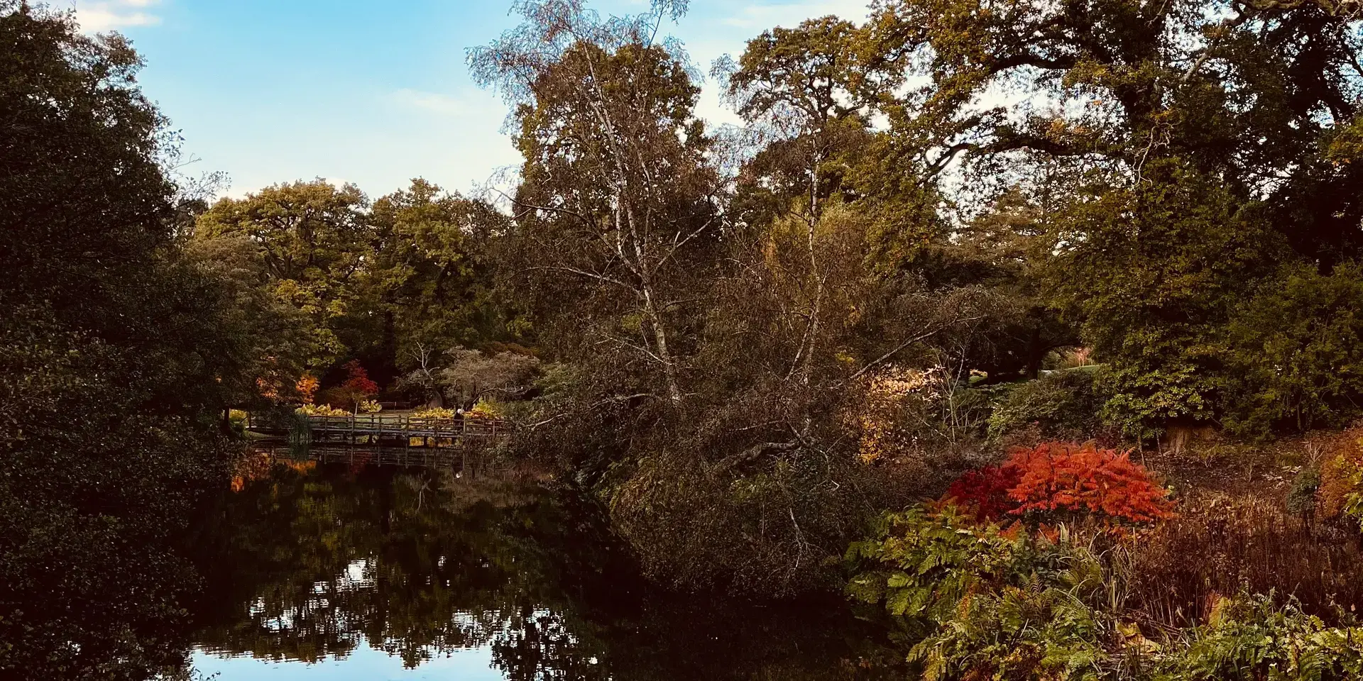 Tranquil river reflecting autumn trees, a wooden bridge, and a vibrant blue sky with scattered clouds