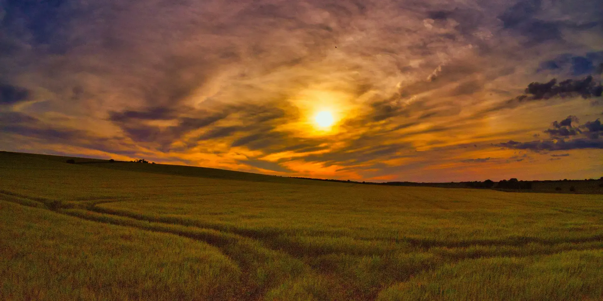 Vibrant sunset over a vast grassy field with streaks of orange, purple, and yellow sky blending into the horizon
