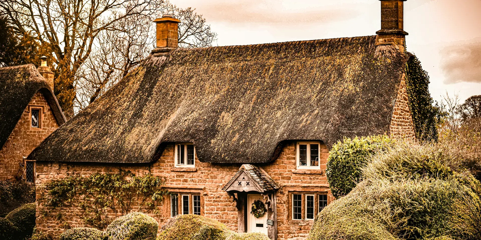 Charming thatched cottage with ivy-covered walls, manicured bushes, and bare trees, bathed in warm sunset light